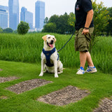 Matching Dog Harness and Leash Set with Hidden Tracker Pocket, Reflective No-Pull