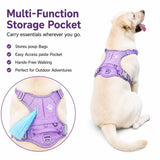 Matching Dog Harness and Leash Set with Hidden Tracker Pocket, Reflective No-Pull