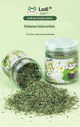 Catnip Cat Grass Leaves Cat Treats Cat Teaser Toy