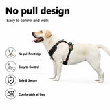 Denim No-Pull Dog Harness – Reflective & Adjustable