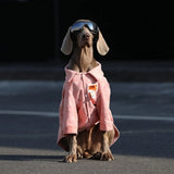 Dog Clothes For Large Breeds Labrador