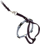 Come With Me Kitty Cat Harness & Bungee Leash Medium Black
