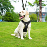 Denim No-Pull Dog Harness – Reflective & Adjustable