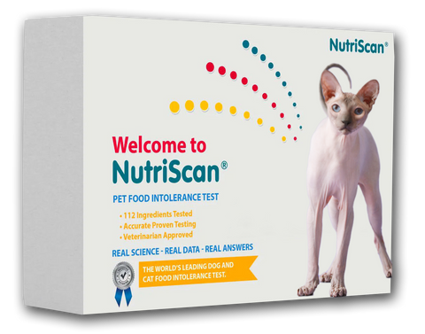 CAT FOOD ALLERGY / SENSITIVITY TEST!