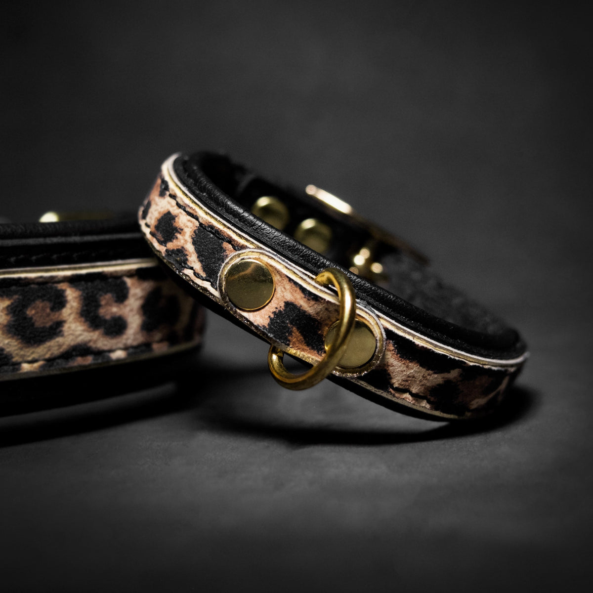 The Leopard Puppy Collar