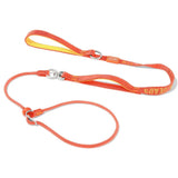 Slip Lead Dog Leash with Double Handles Dog Training Leash Anti-Tangle Heavy Duty Leash and Collar No Pull Puppy Walking