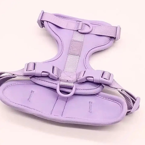 Breathable Lightweight Dog Harness Adjustable Pet Chest Strap Outdoor Walk Training Pet Harenss for Small Medium Dog