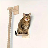 Wall-Mounted Cat Climbing Rope – Solid Wood Pedals & Sisal Scratch Training Toy for Indoor Cats
