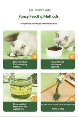 Catnip Cat Grass Leaves Cat Treats Cat Teaser Toy