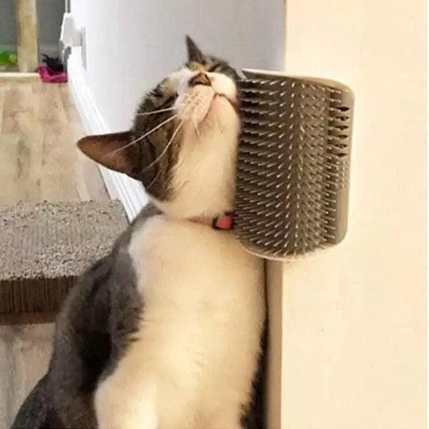 Cat Scratcher Corner Pet Brush Comb Play Cat Toy Plastic Scratch Bristles Arch Massager  Self Groomer with Catnip Pouch Cat Wall Corner Massage Groomer Cat Self Grooming Brush