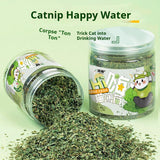 Catnip Cat Grass Leaves Cat Treats Cat Teaser Toy