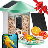 Smart Bird Feeder with Camera AI Identify 10000+ Bird Specie Solar-Powered