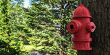 Fire Hydrant Birdhouse – Quirky Garden Décor for Backyard & Birds
