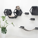 Cat Curve Wall Bed Black